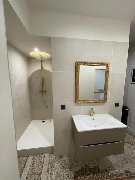 Appartement Chic Et De Caractere ! Saint-Cyr-au-Mont-d'Or Ngoại thất bức ảnh